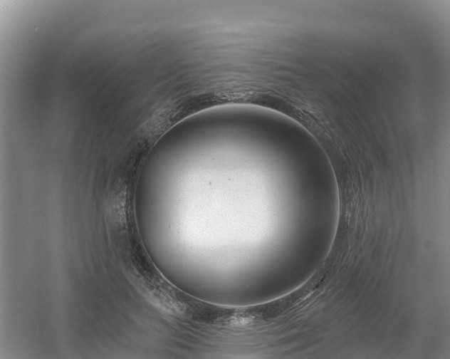 X0000054380647200508051622