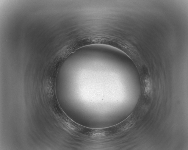 X0000054380653200508051622