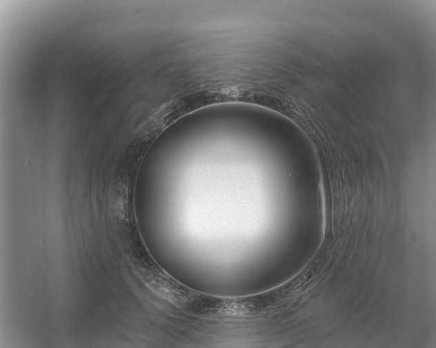 X0000054380656200508051622