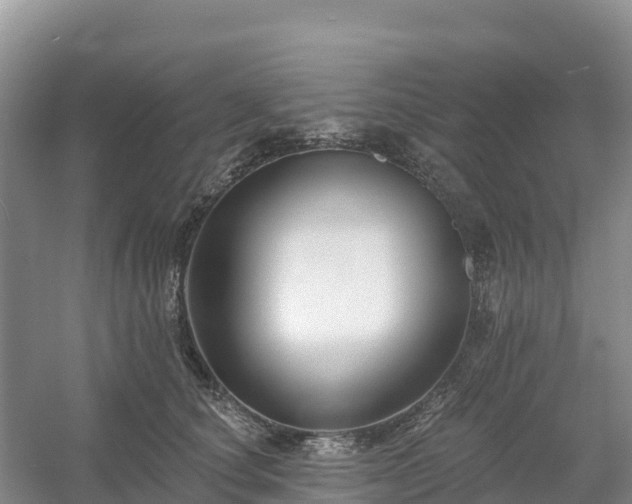 X0000054380660200508051622