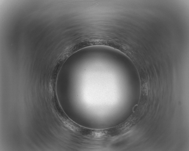 X0000054380662200508051623