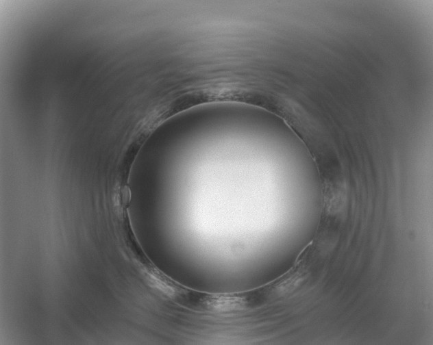 X0000054380670200508051623