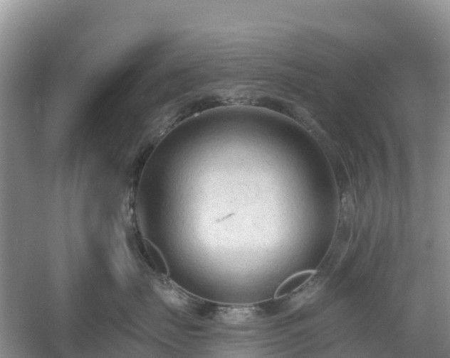 X0000054380671200508051623