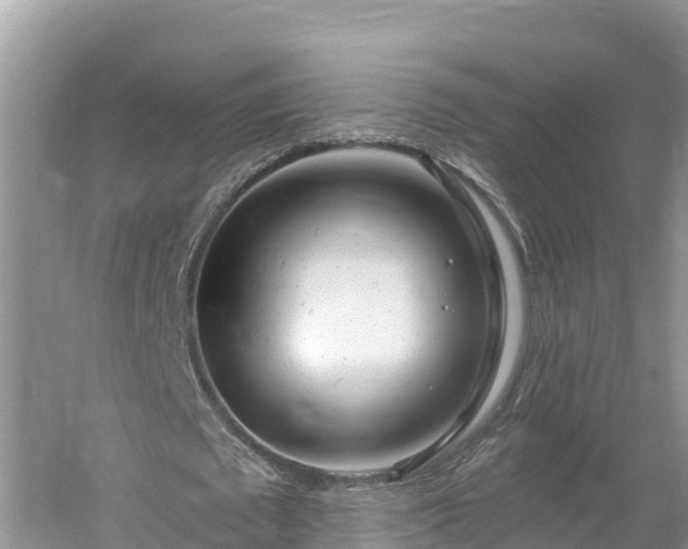 X0000054380673200508051622