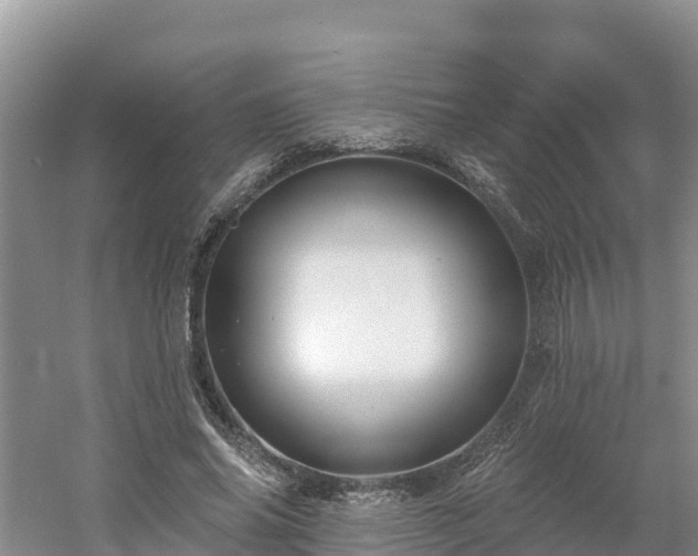 X0000054380686200508051622