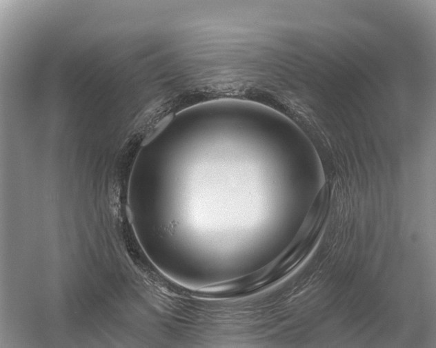 X0000054380693200508051622
