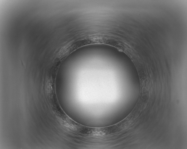 X0000054380702200508051621