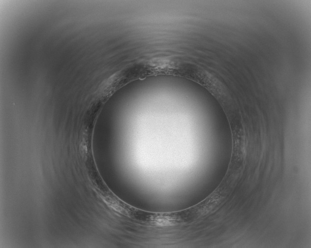 X0000054380710200508051621