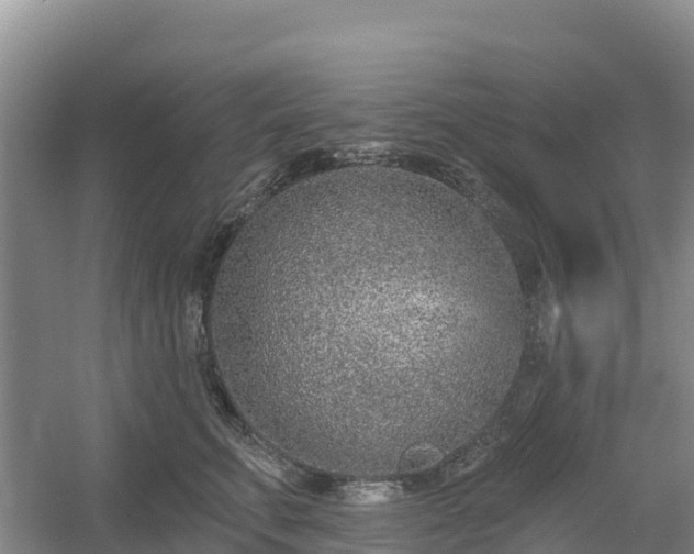 X0000054380711200508051621