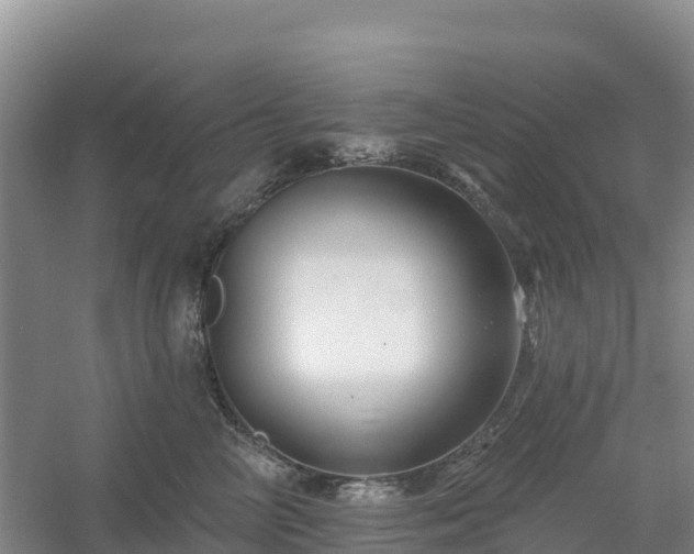X0000054380714200508051621