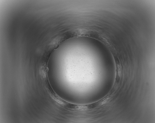 X0000054380719200508051621