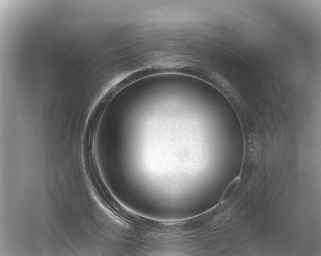 X0000054380726200508051620
