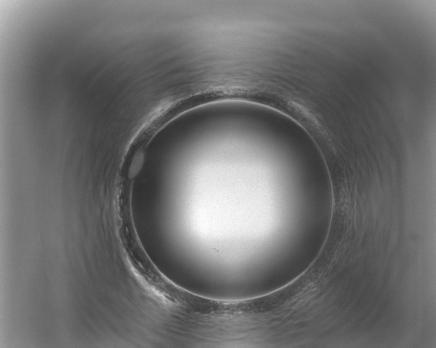 X0000054380730200508051620