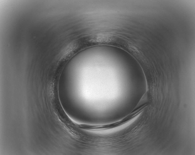 X0000054380735200508051620