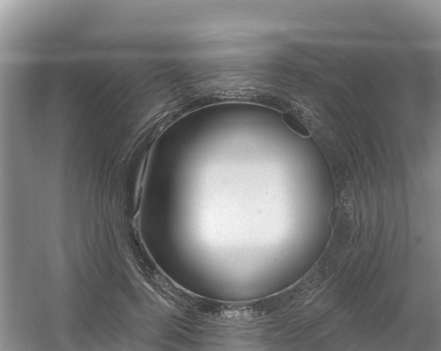 X0000054380744200508051621