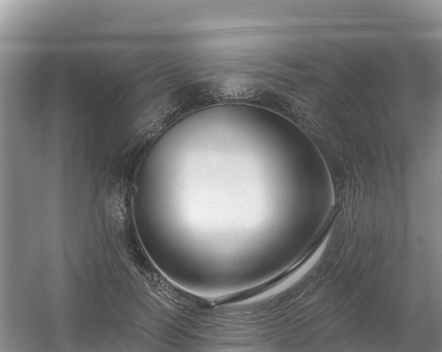 X0000054380746200508051621
