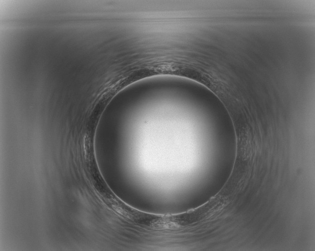 X0000054380747200508051621