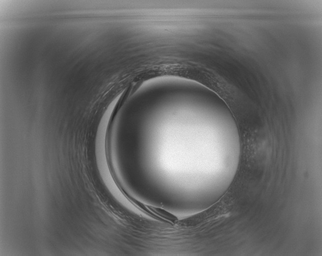 X0000054380750200508051621