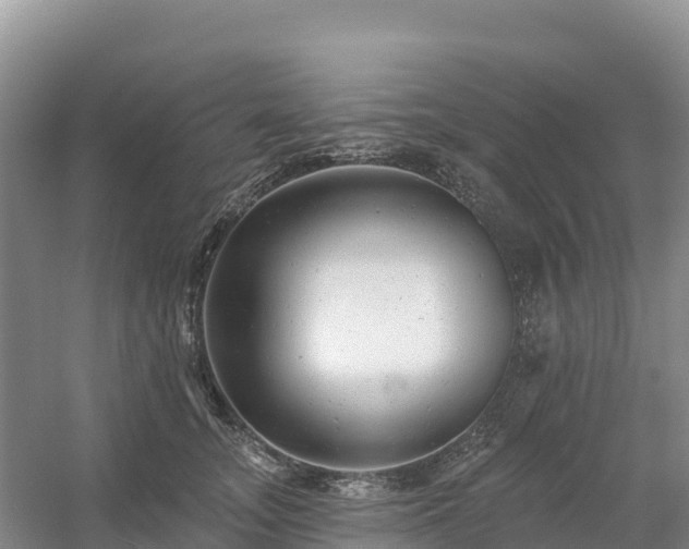 X0000054380755200508051621