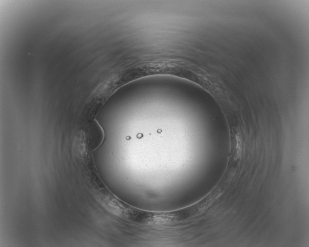 X0000054380758200508051621