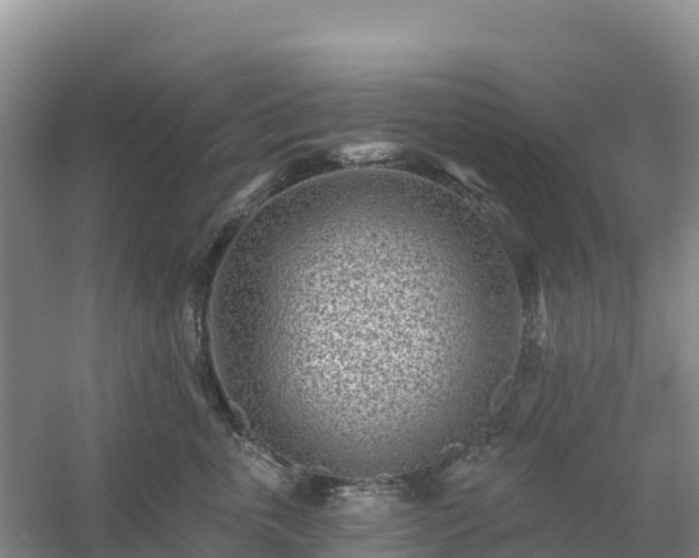 X0000054380763200508051621