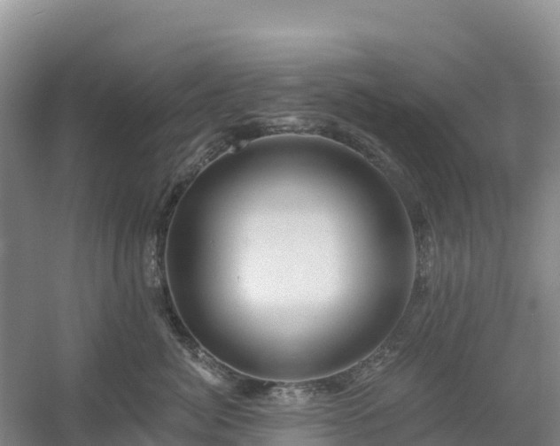 X0000054380764200508051621