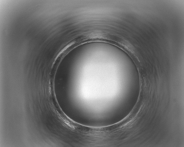 X0000054380782200508051620