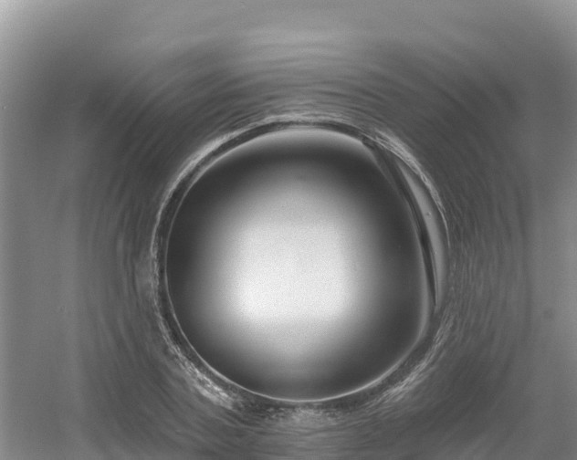 X0000054380787200508051620