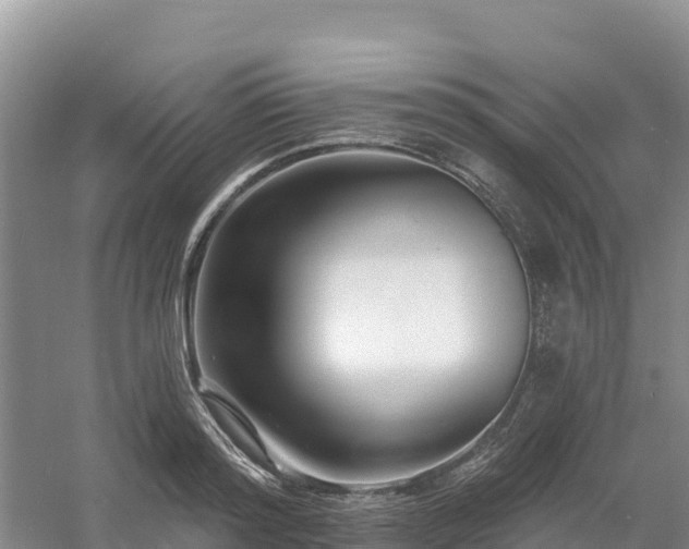X0000054380796200508051620
