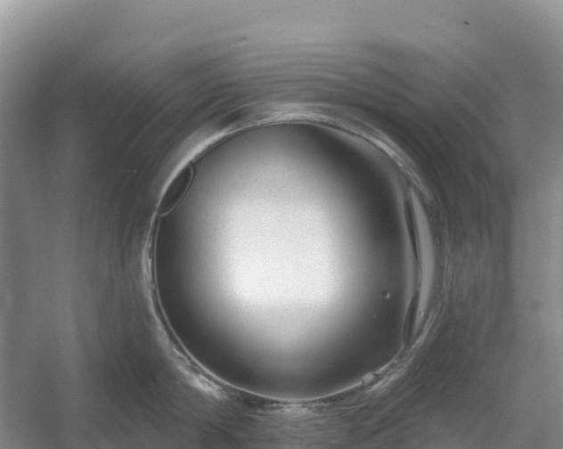 X0000054380814200508051619