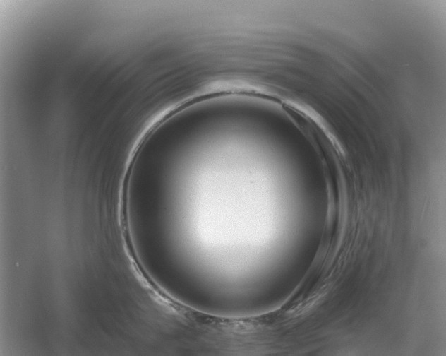 X0000054380815200508051619