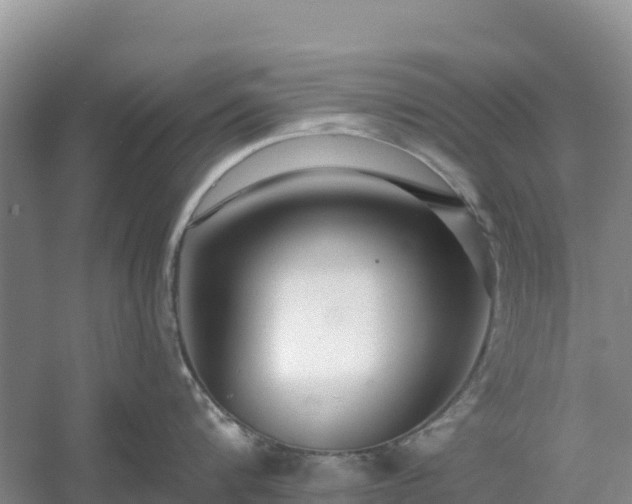 X0000054380816200508051619