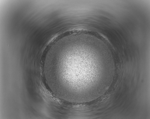 X0000054380823200508051619