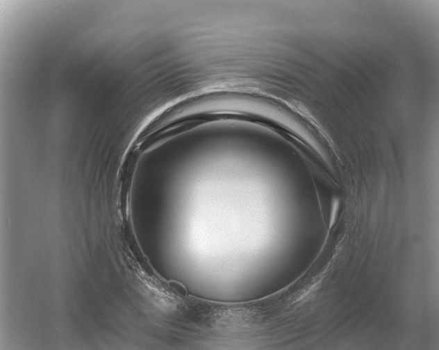 X0000054380830200508051619