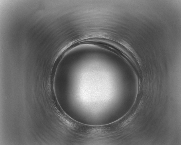 X0000054380834200508051619