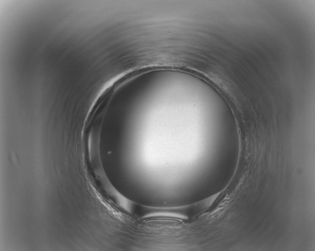 X0000054380838200508051619