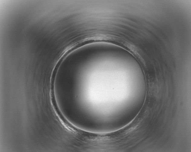 X0000054380845200508051619