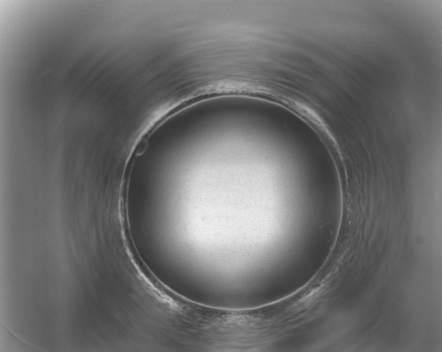 X0000054380847200508051619