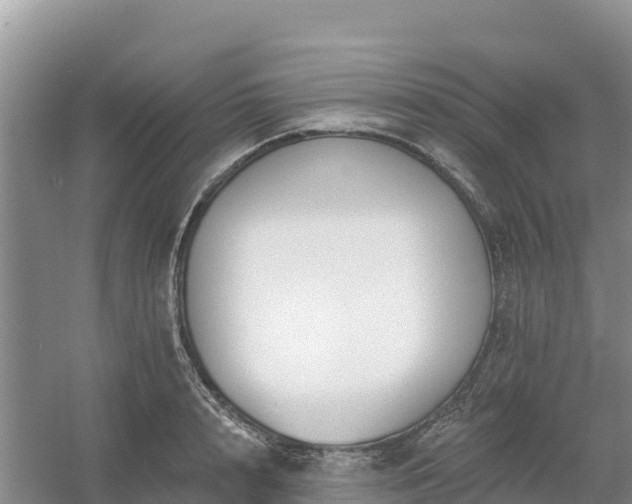 X0000054380848200508051619