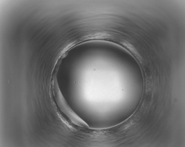 X0000054380850200508051619