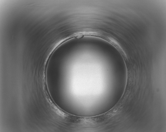 X0000054380852200508051619