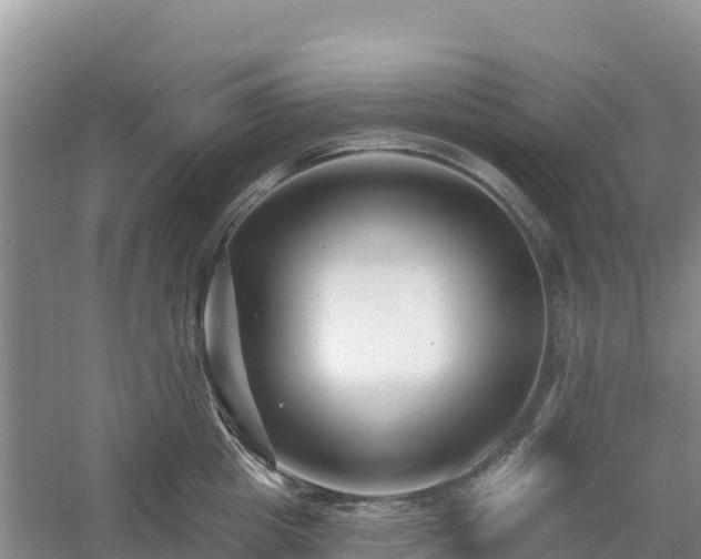 X0000054380857200508051619