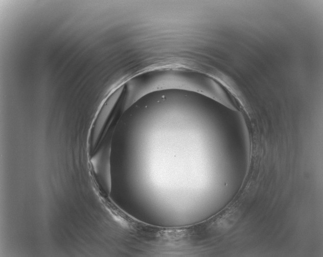 X0000054380858200508051619
