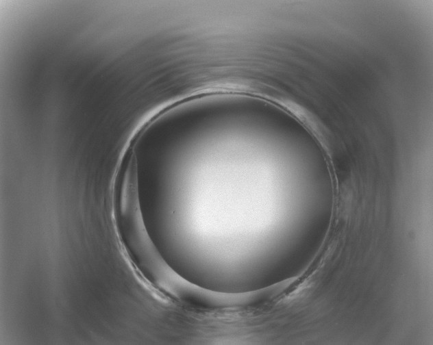 X0000054380862200508051619