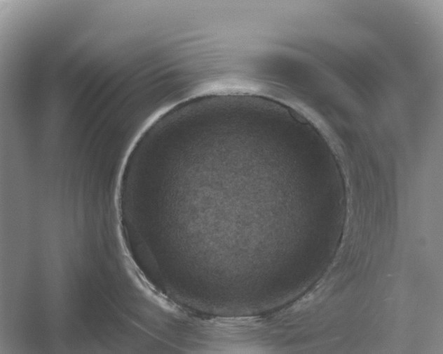 X0000054380864200508051619
