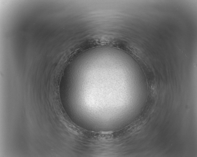 X0000054380865200508051619