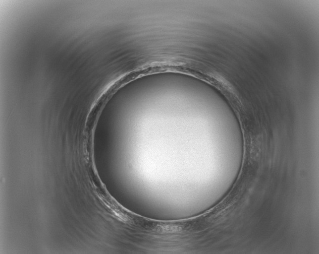 X0000054380878200508051618