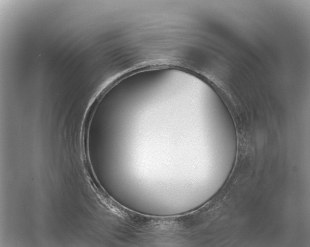 X0000054380886200508051618