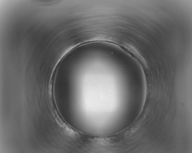 X0000054380900200508051618