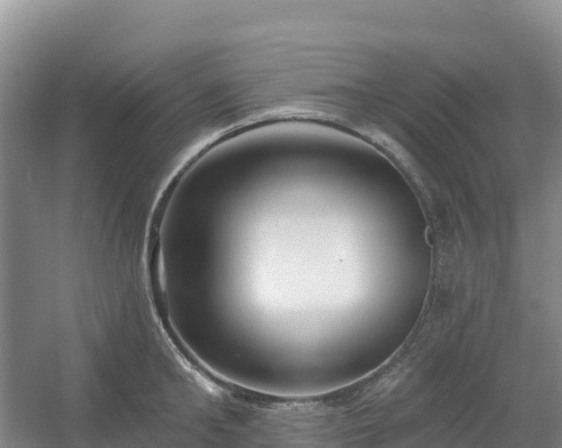X0000054380902200508051618